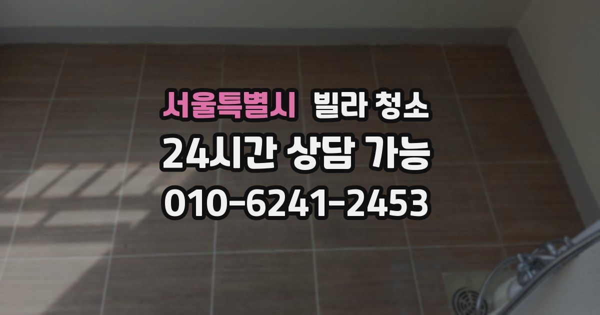 서울특별시 빌라 청소