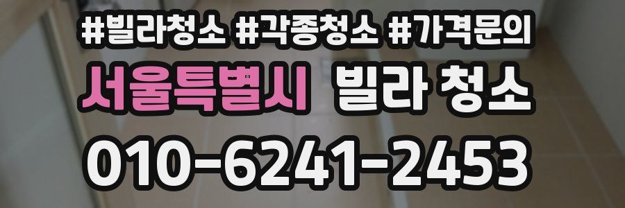 서울특별시 빌라 청소