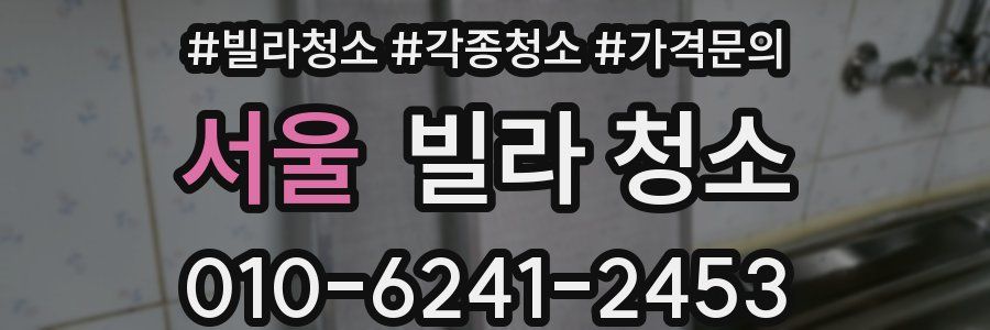 서울 빌라 청소