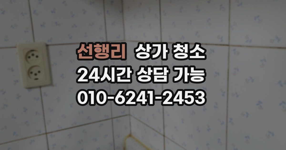 선행리 상가 청소