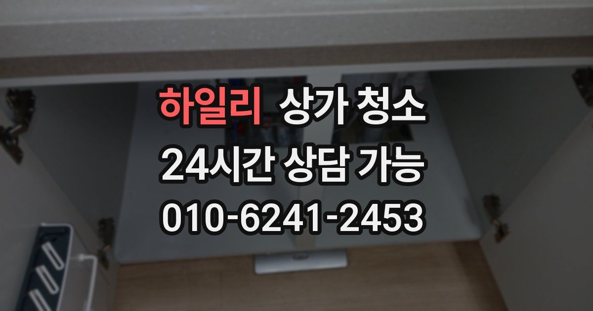 하일리 상가 청소