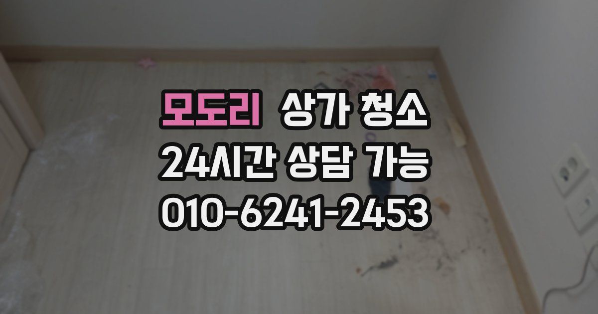 모도리 상가 청소