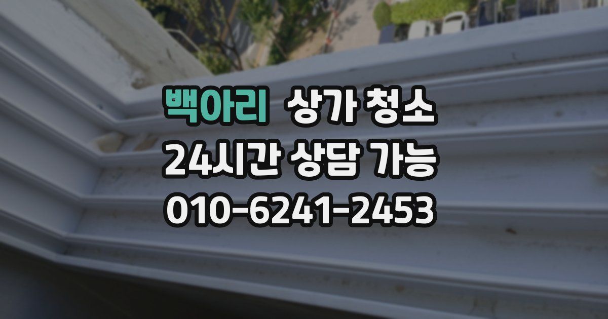 백아리 상가 청소