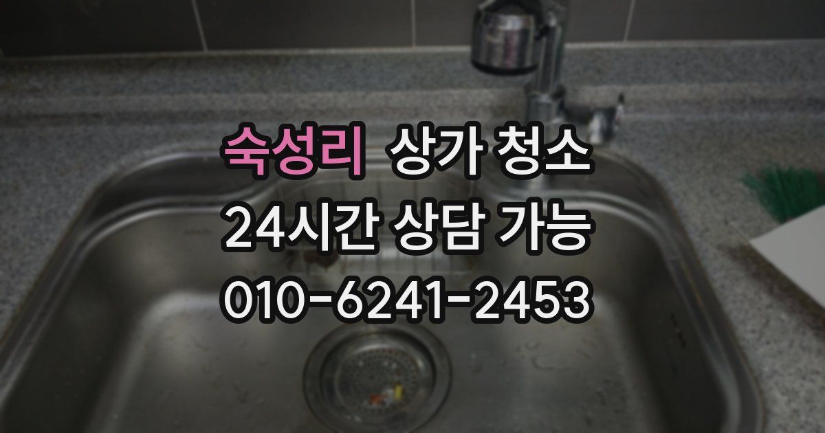 숙성리 상가 청소