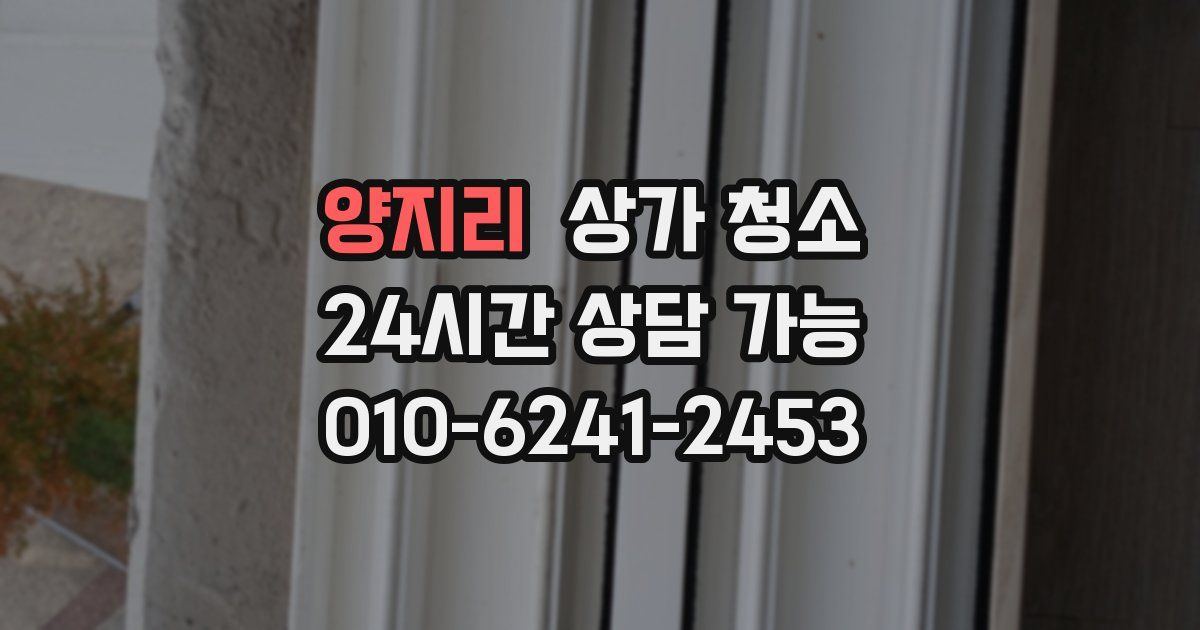 양지리 상가 청소