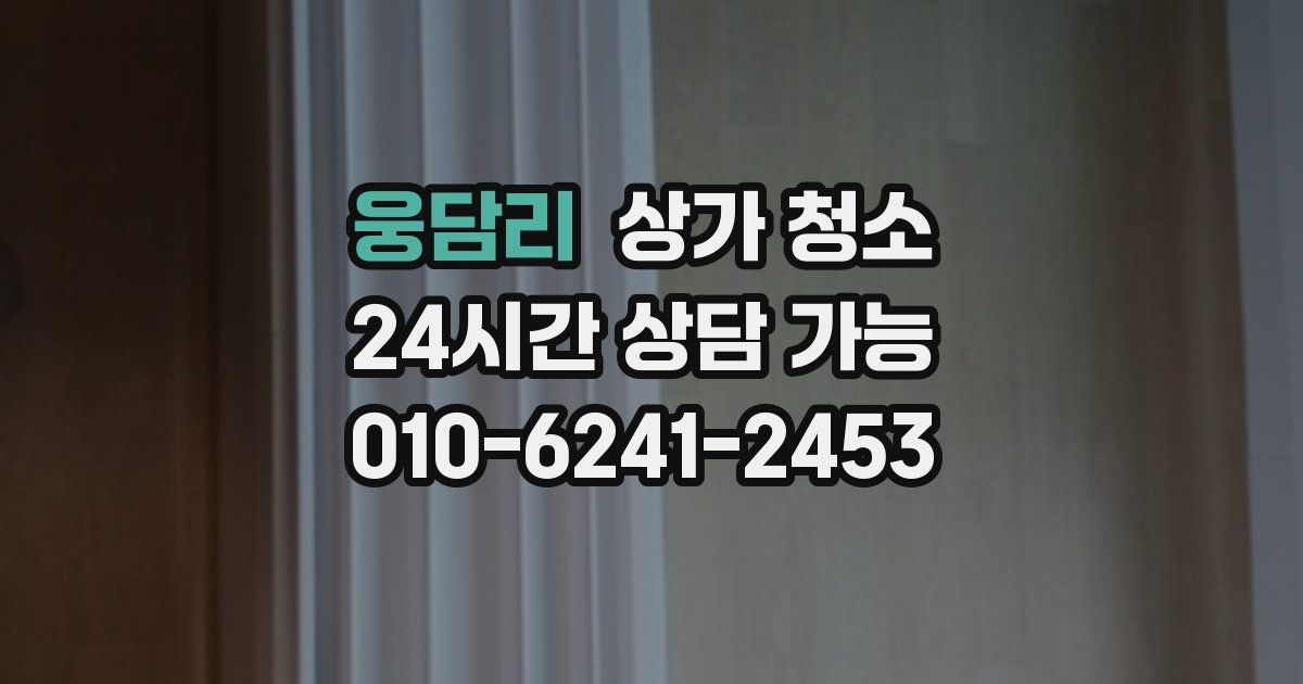 웅담리 상가 청소