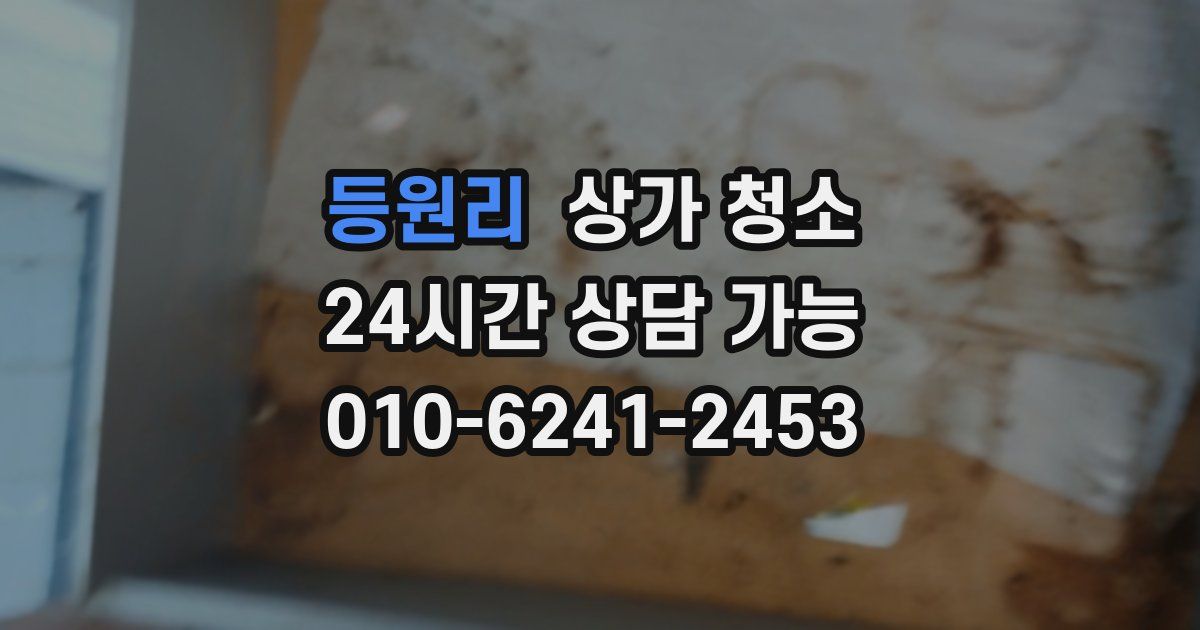 등원리 상가 청소