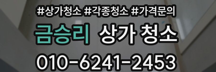 금승리 상가 청소