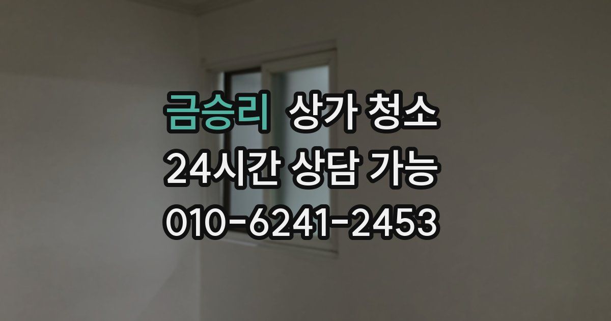 금승리 상가 청소