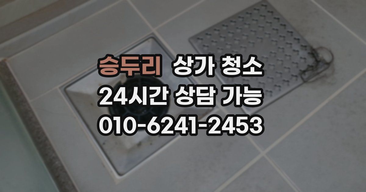 승두리 상가 청소