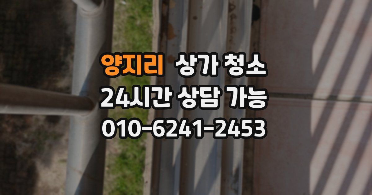 양지리 상가 청소