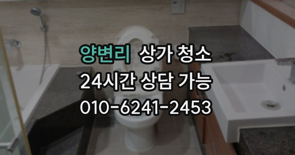 양변리 상가 청소