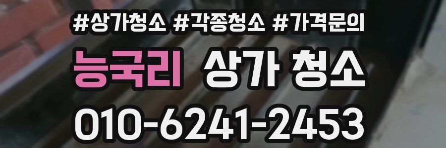 능국리 상가 청소