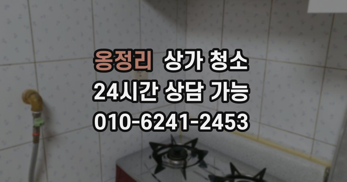 옹정리 상가 청소