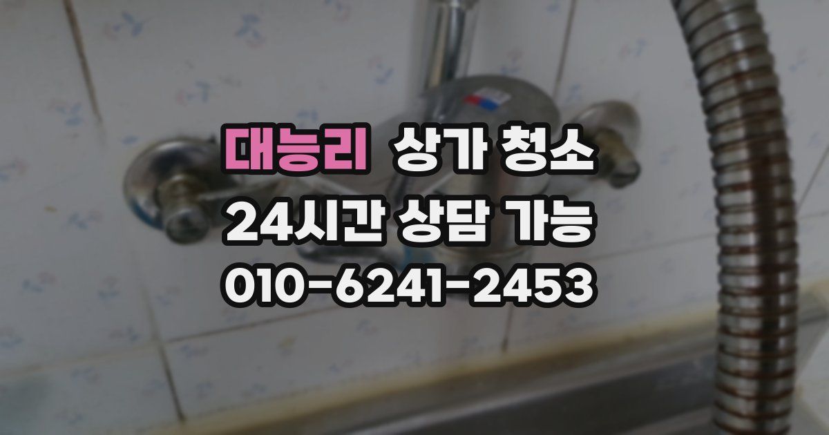 대능리 상가 청소