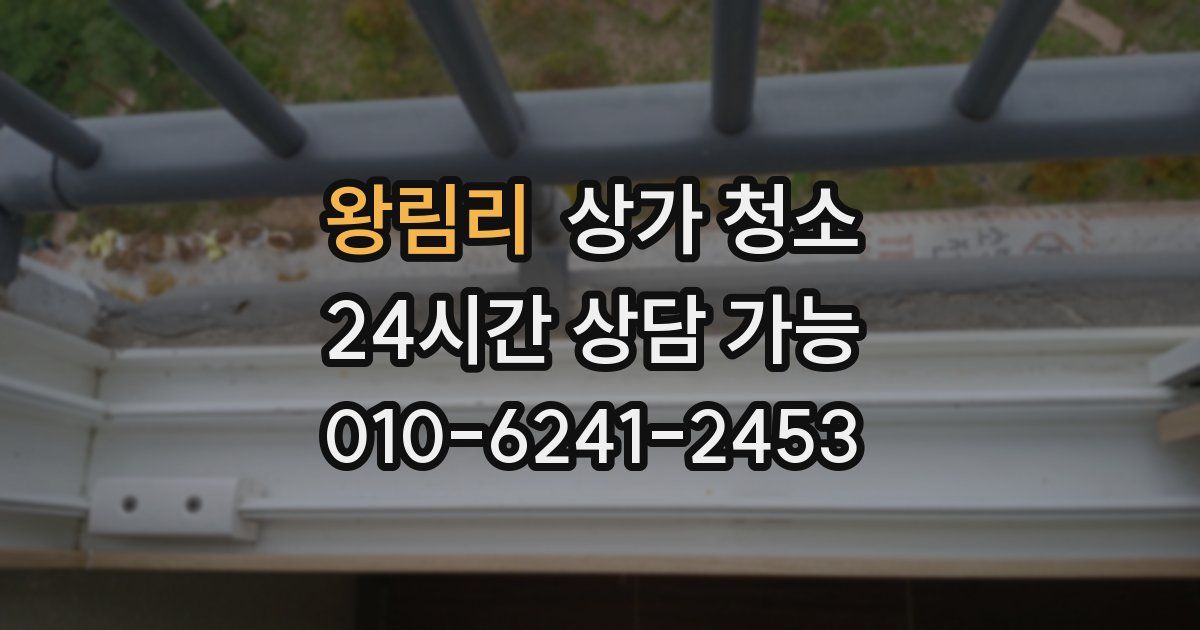 왕림리 상가 청소
