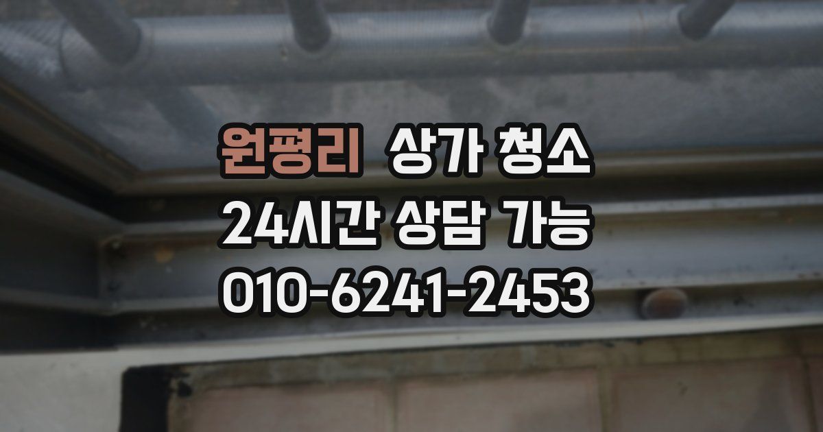 원평리 상가 청소