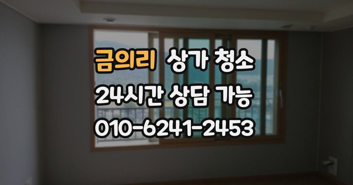 금의리 상가 청소