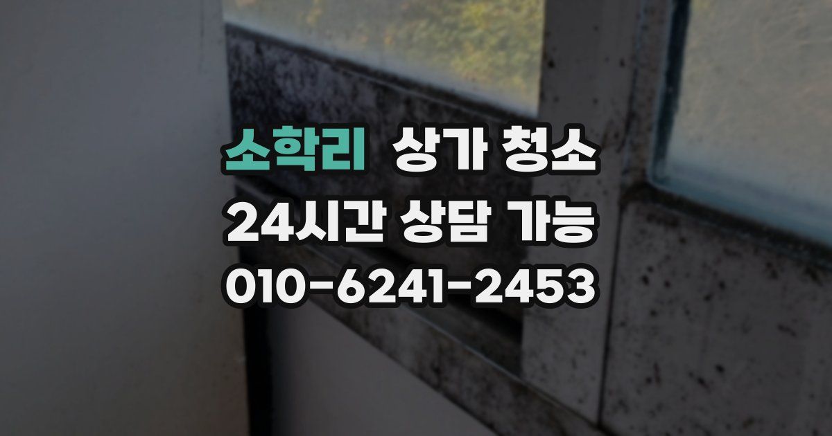 소학리 상가 청소