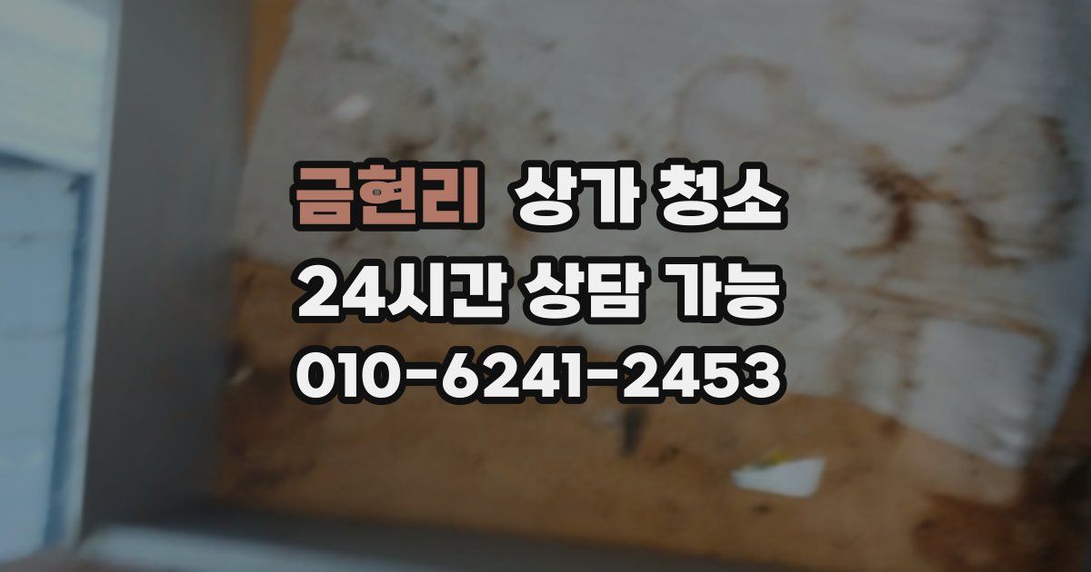 금현리 상가 청소