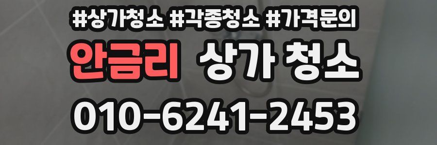 안금리 상가 청소
