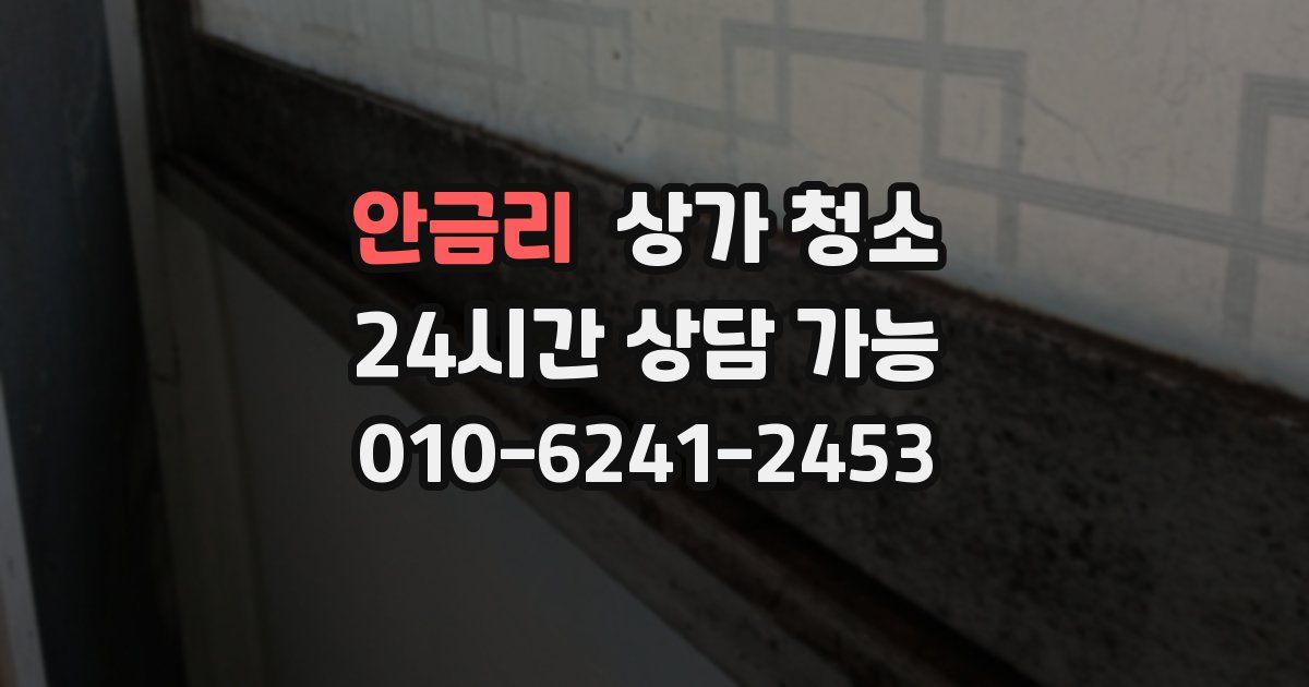 안금리 상가 청소