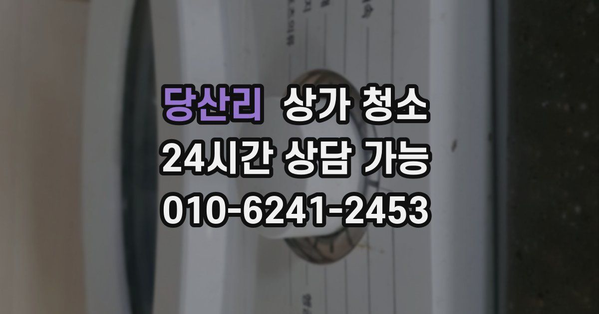 당산리 상가 청소