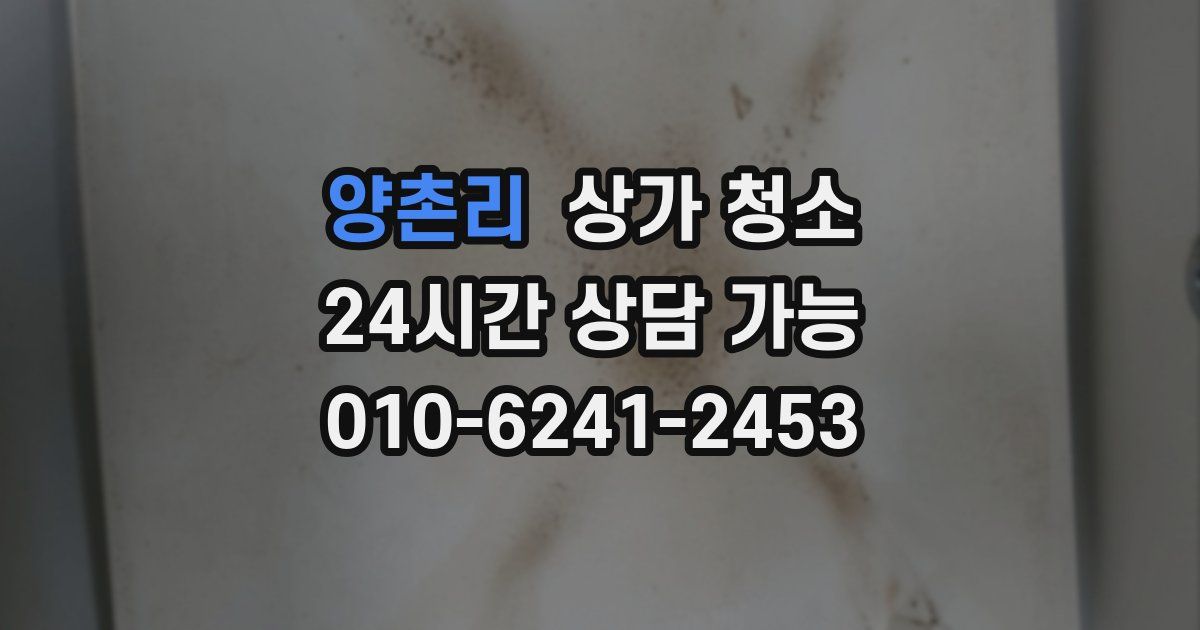 양촌리 상가 청소