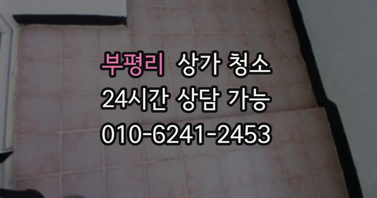 부평리 상가 청소
