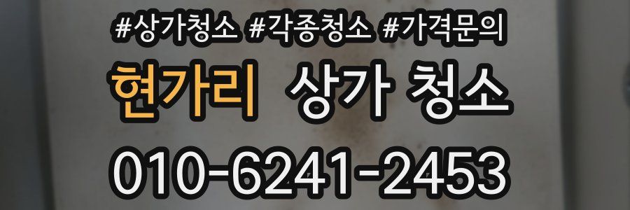 현가리 상가 청소
