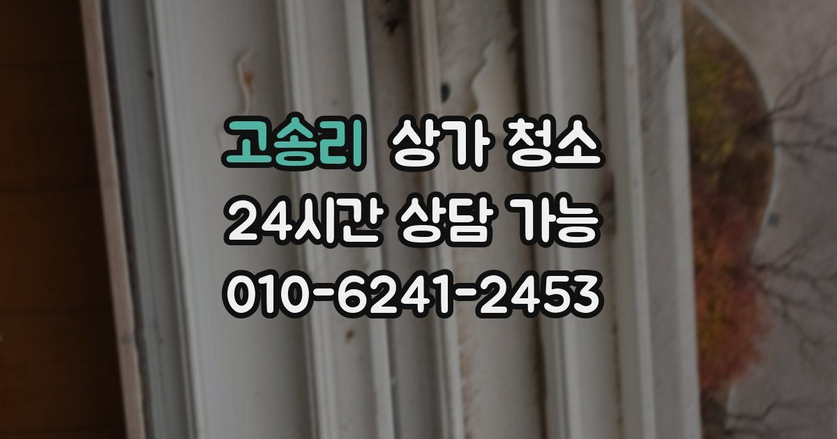 고송리 상가 청소