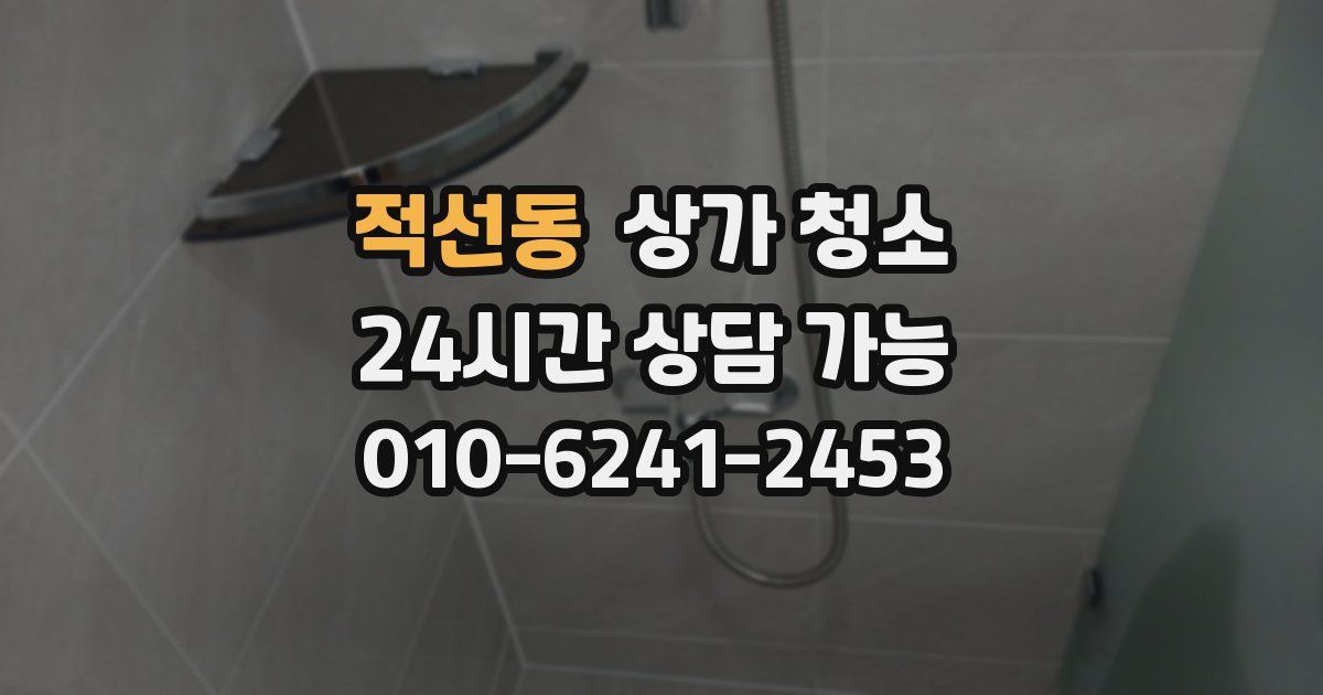 적선동 상가 청소