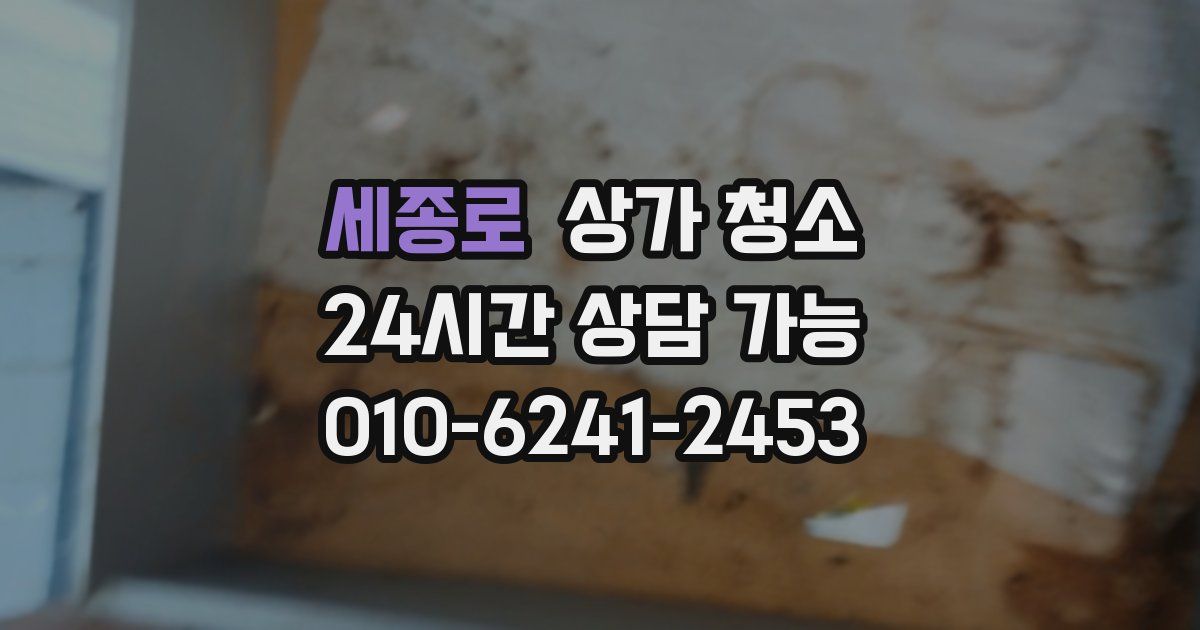 세종로 상가 청소