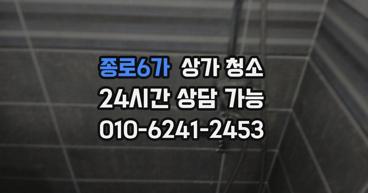 종로6가 상가 청소