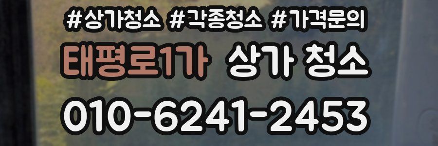 태평로1가 상가 청소