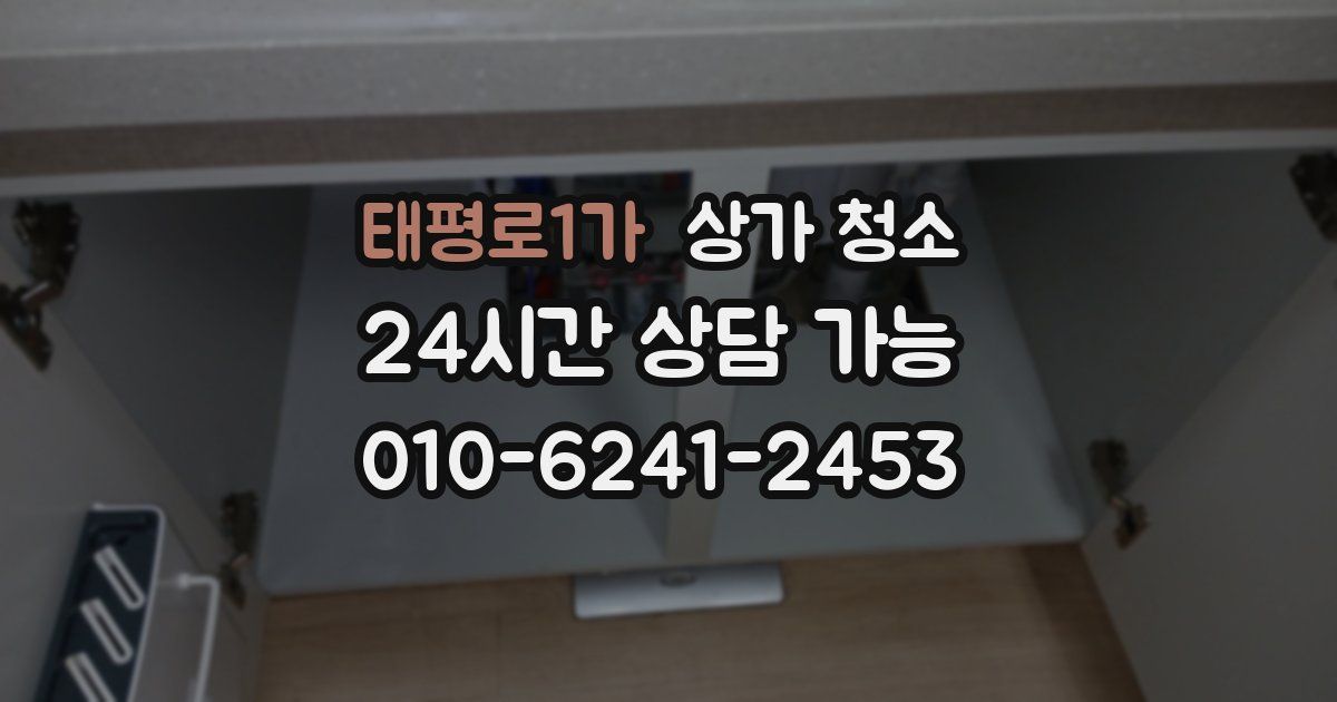 태평로1가 상가 청소