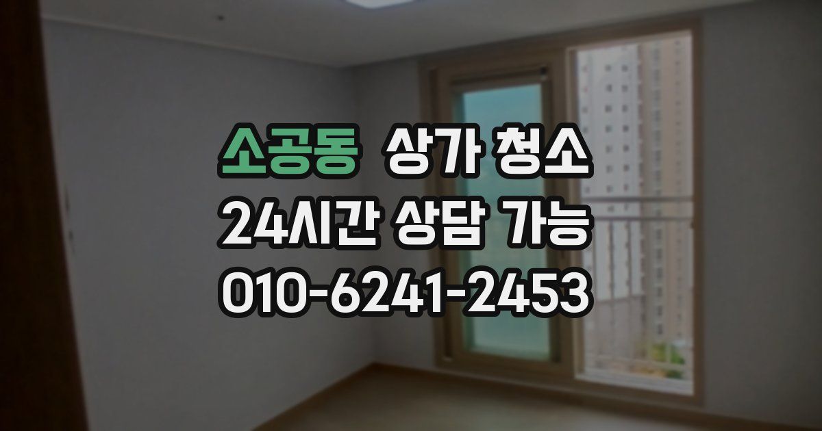 소공동 상가 청소