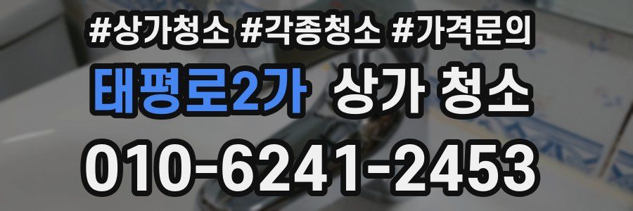 태평로2가 상가 청소