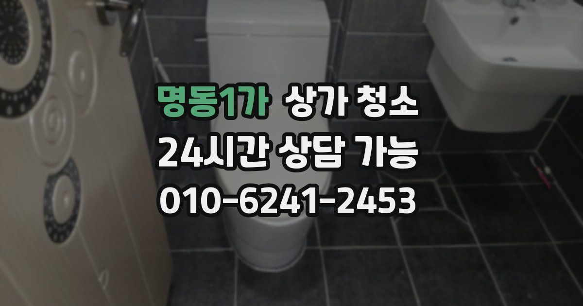 명동1가 상가 청소