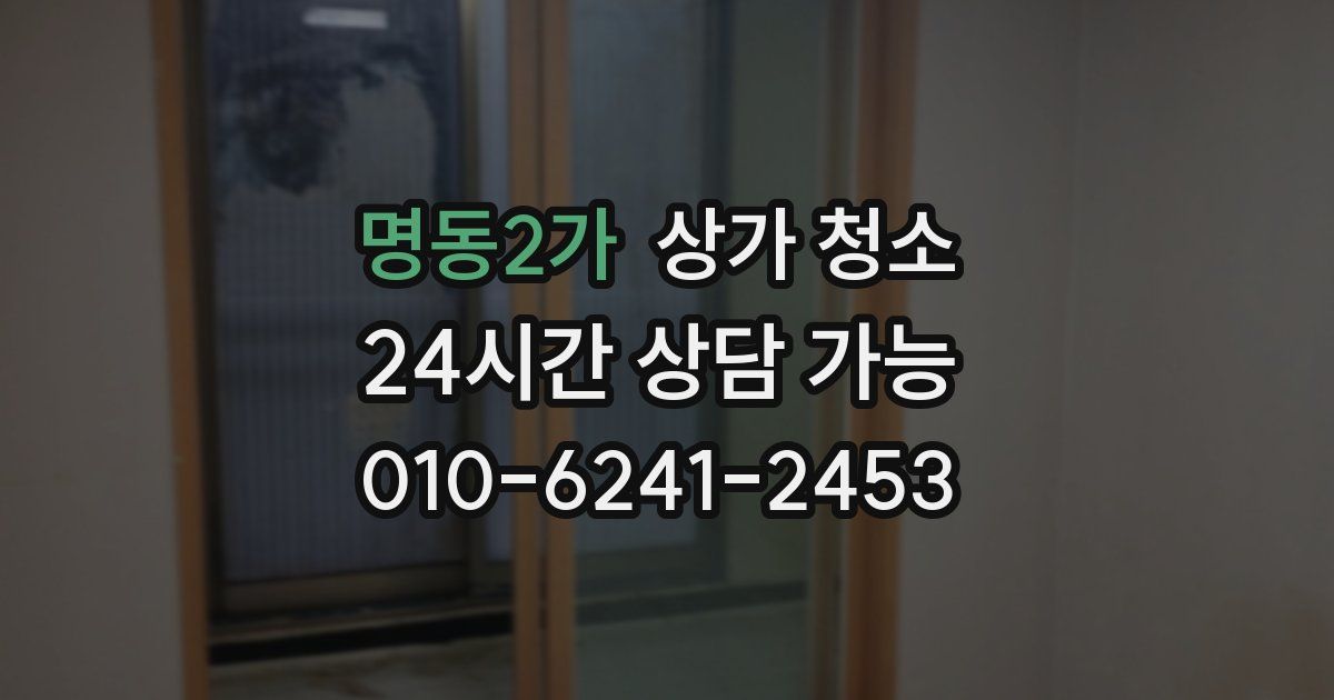 명동2가 상가 청소