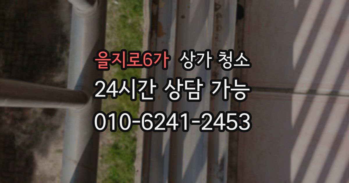 을지로6가 상가 청소