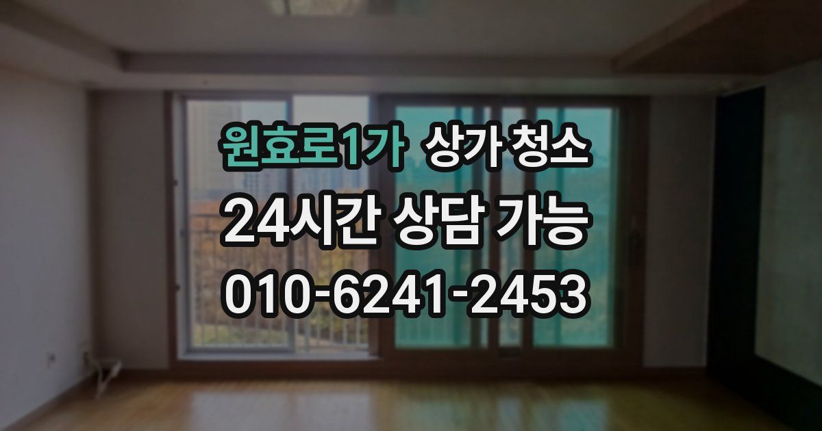 원효로1가 상가 청소