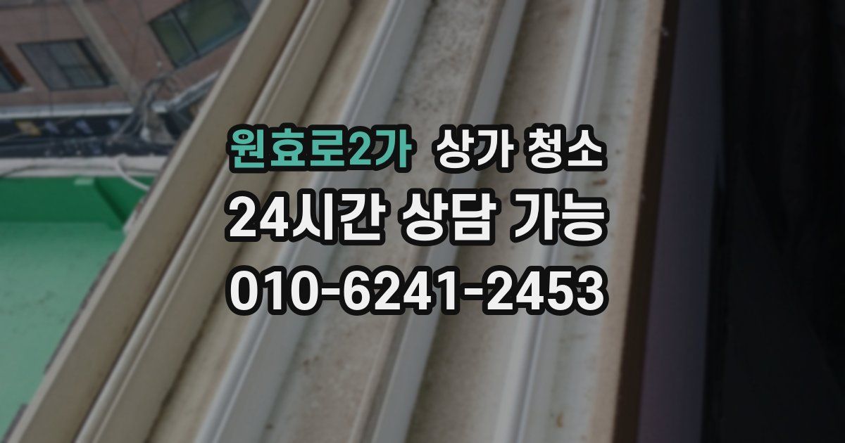 원효로2가 상가 청소