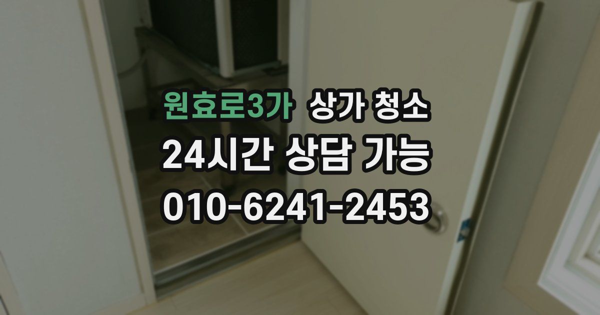 원효로3가 상가 청소