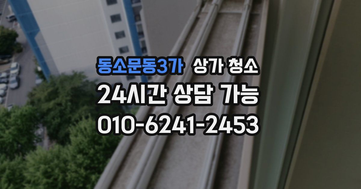 동소문동3가 상가 청소