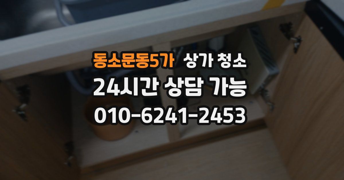 동소문동5가 상가 청소