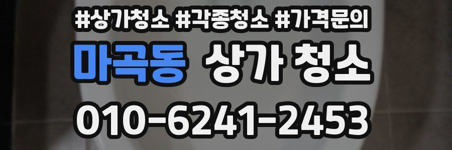 마곡동 상가 청소