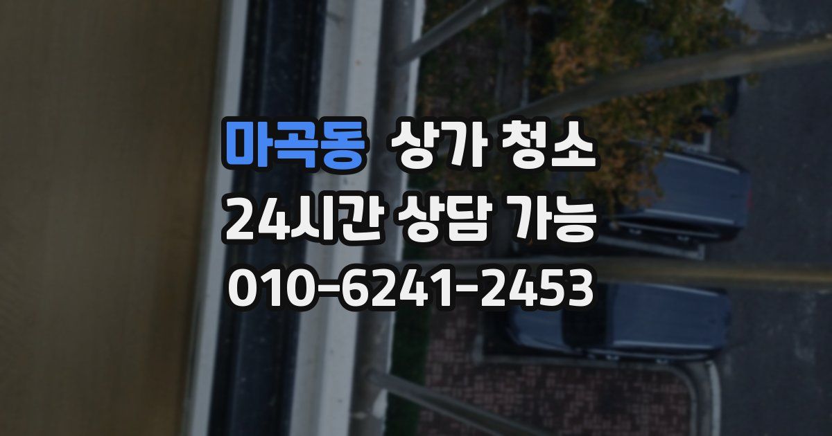 마곡동 상가 청소
