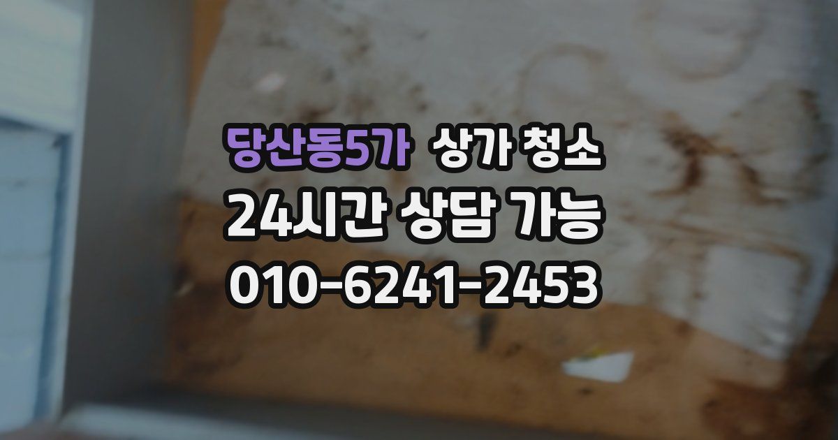 당산동5가 상가 청소
