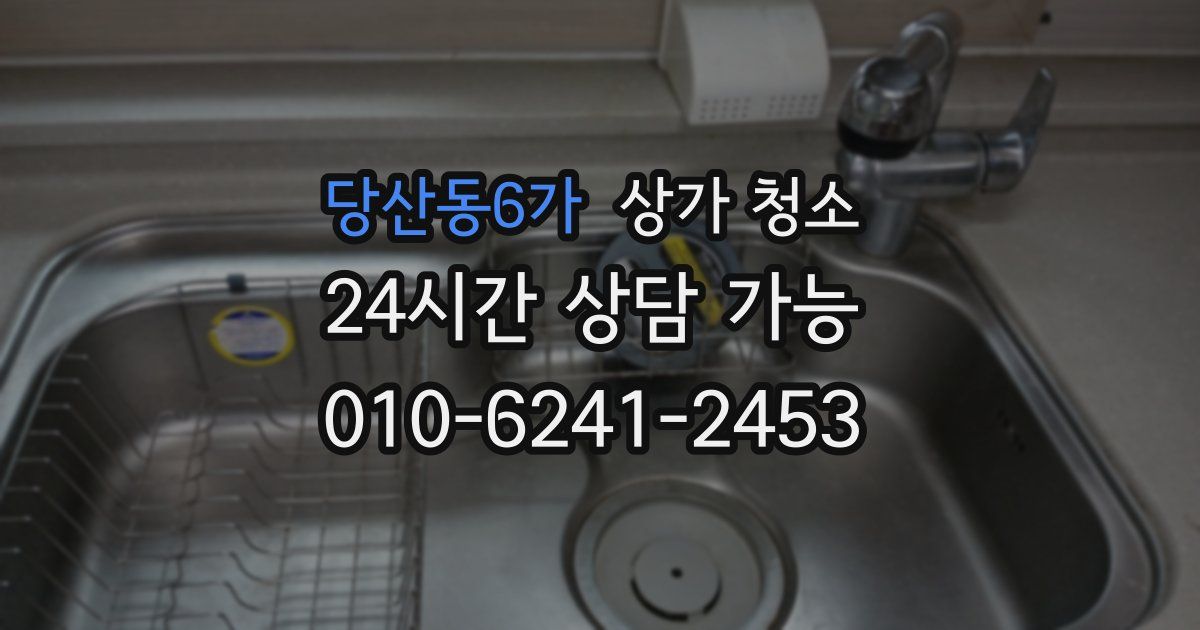 당산동6가 상가 청소